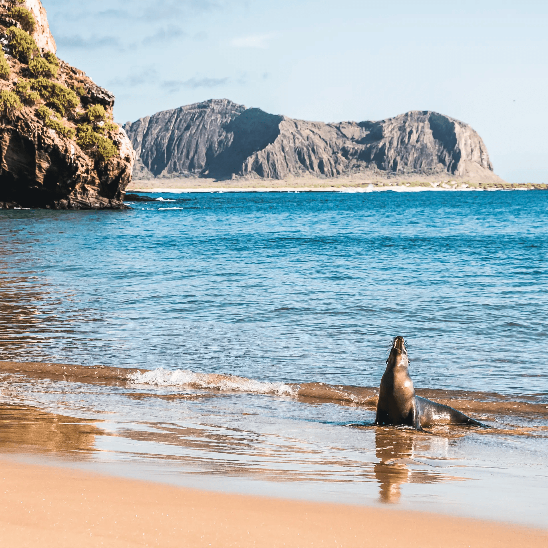 GALÁPAGOS MARINE & VOLCANIC ENVIRONMENTS