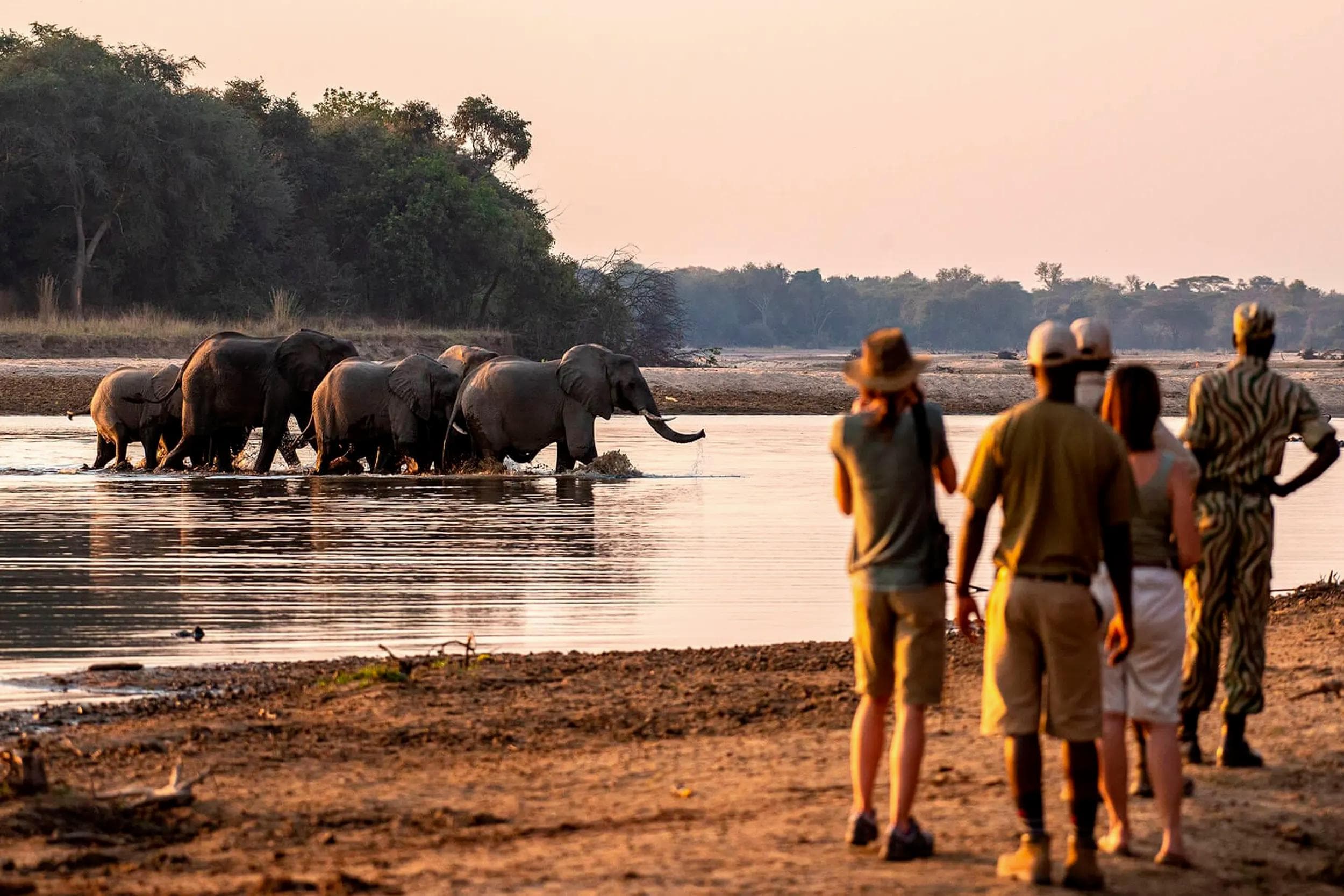 HIGHLIGHTS OF ZAMBIA: VICTORIA FALLS & SOUTH LUANGWA SAFARI