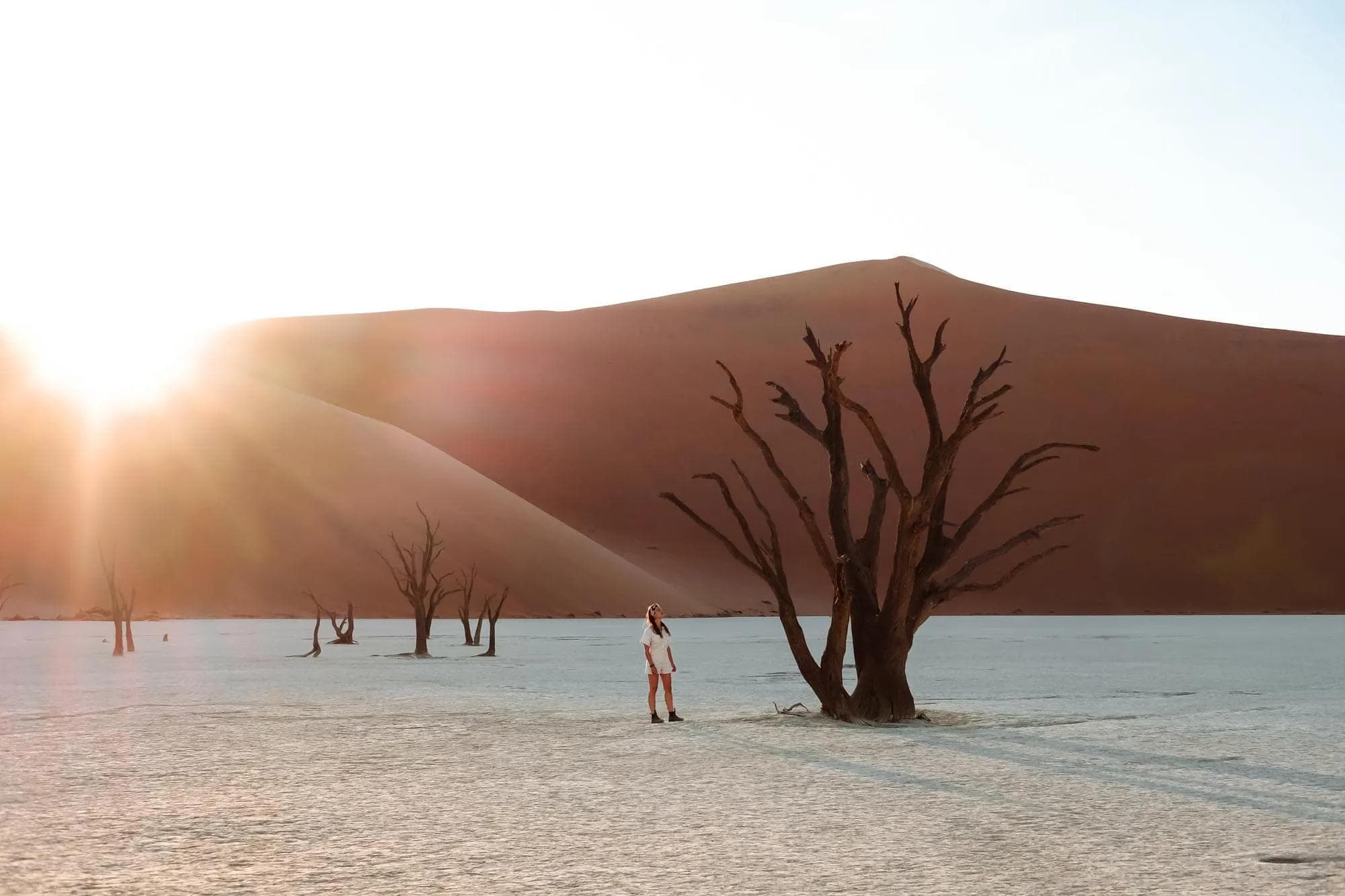 Namibia Desert & Wildlife Safari