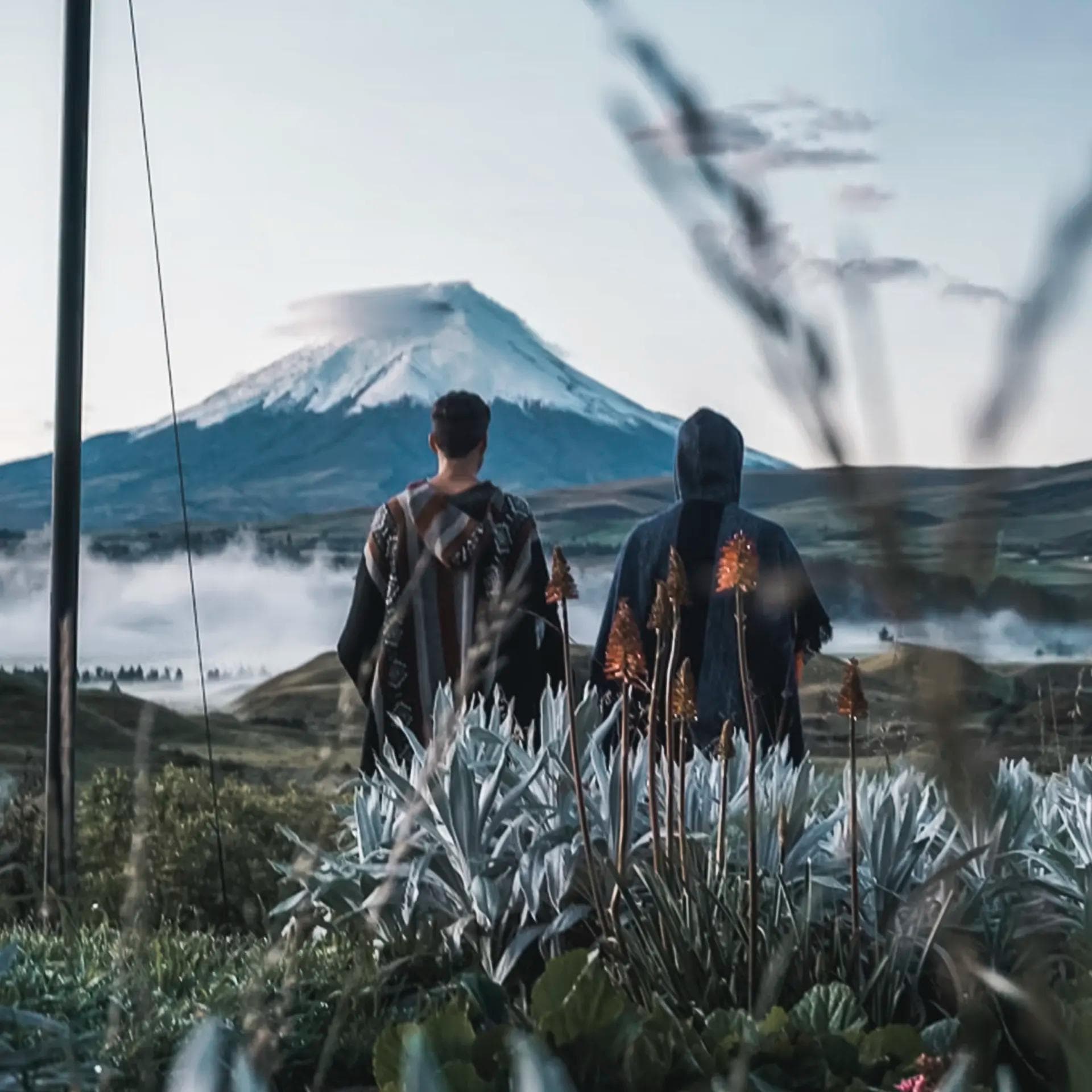 COTOPAXI NATIONAL PARK