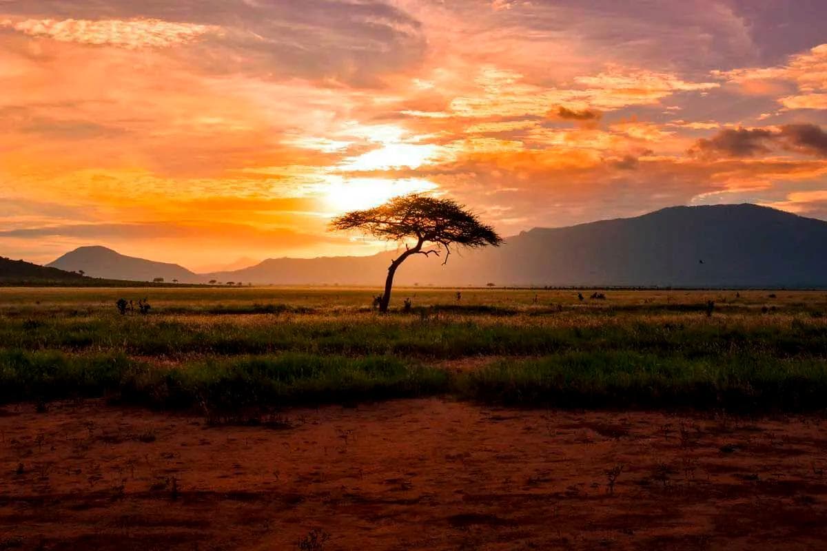 PURROS CONSERVANCY AND HIMBA CULTURE