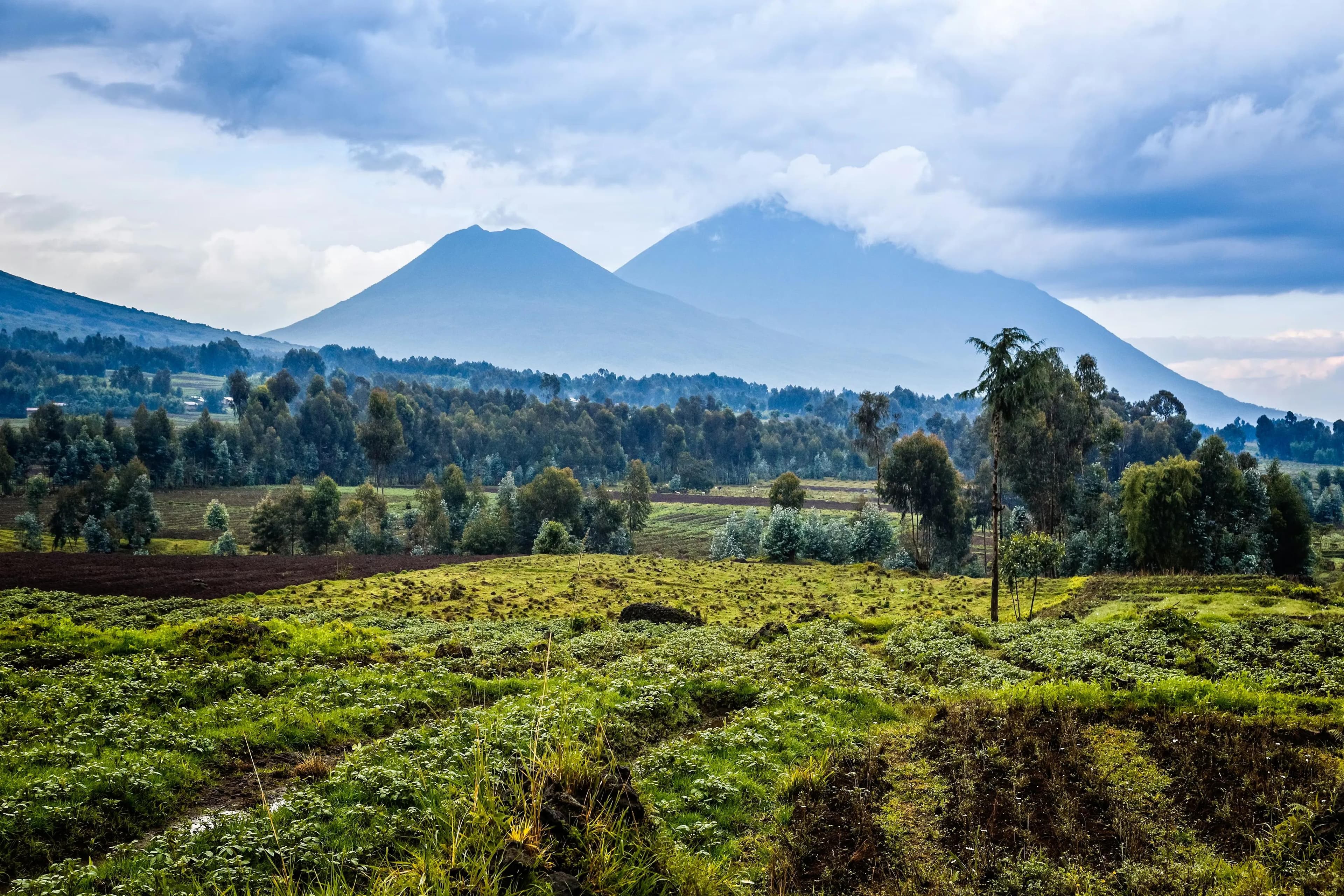 KIGALI TO BWINDI IMPENETRABLE NATIONAL PARK