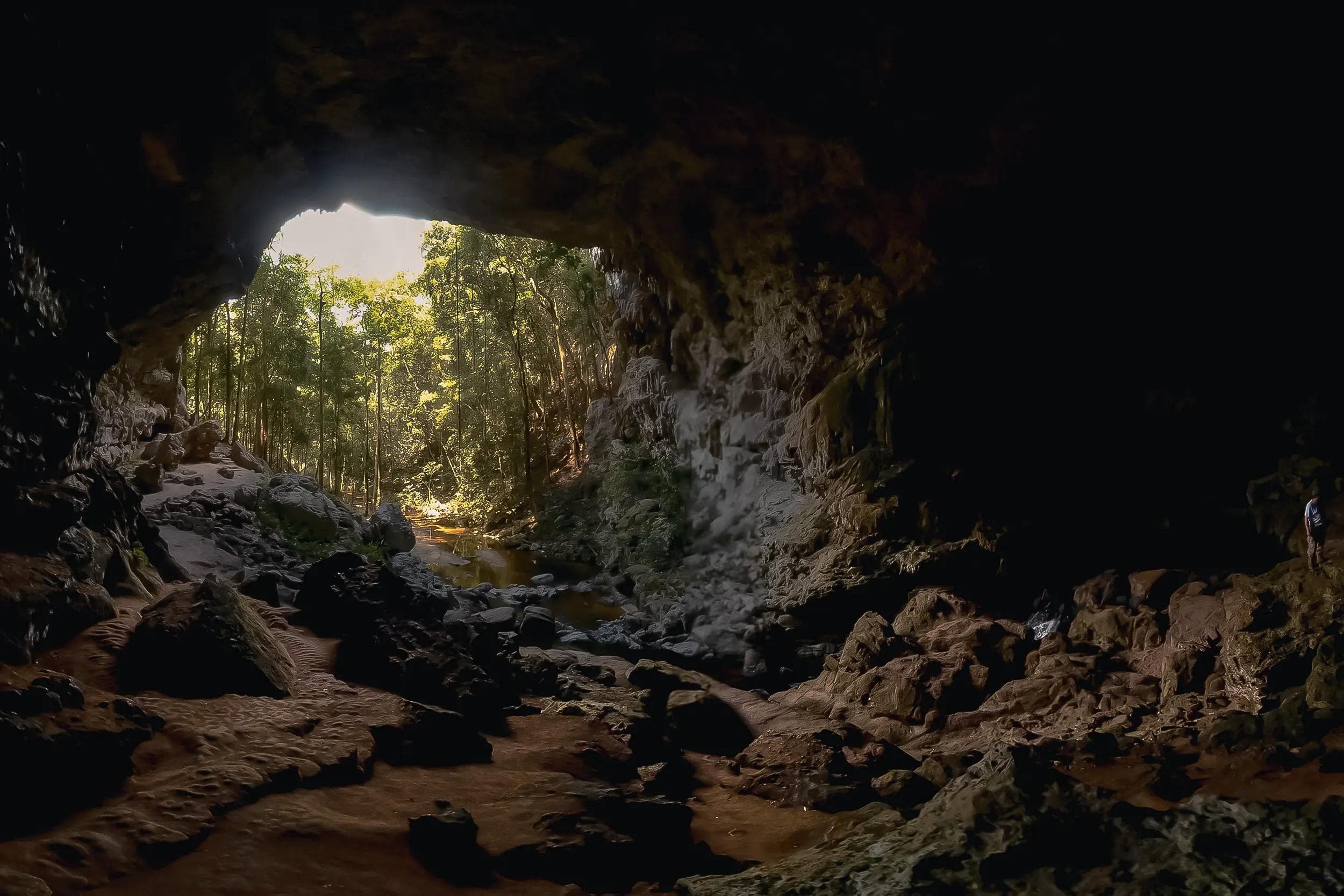 RIVERS, CAVES AND JUNGLE LANDSCAPES