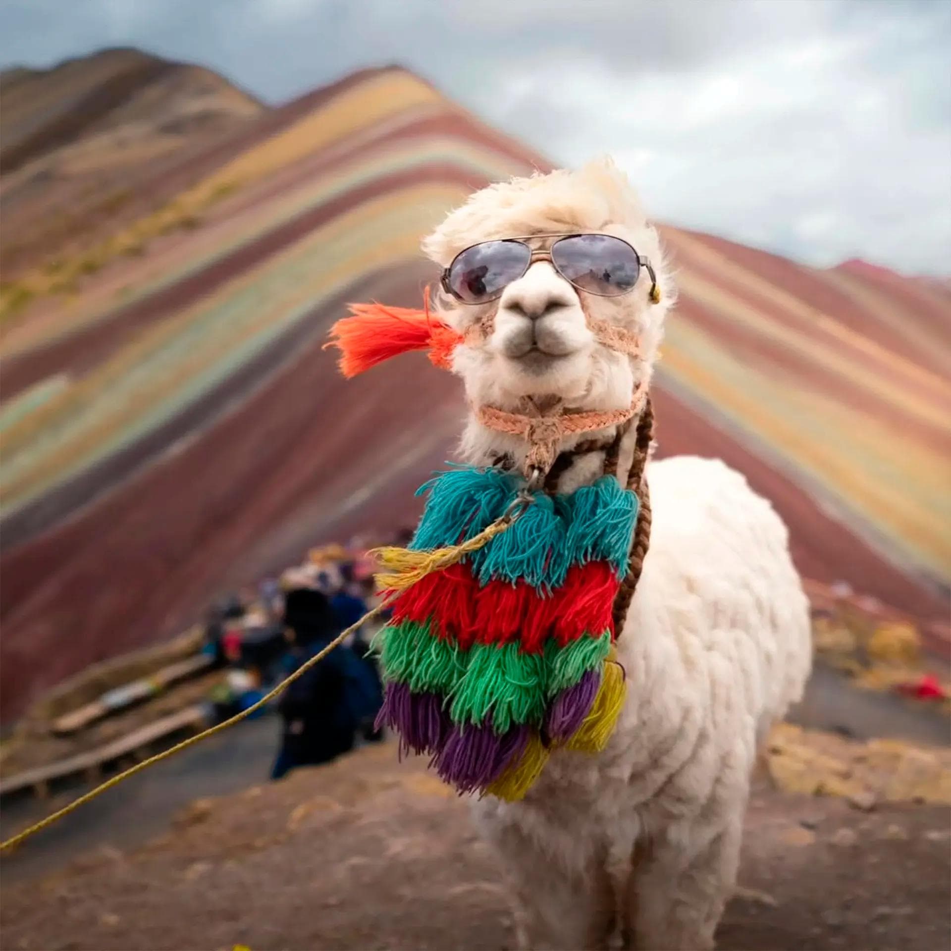 CUSCO: PALCCOYO RAINBOW MOUNTAIN AND ANDEAN LANDSCAPES