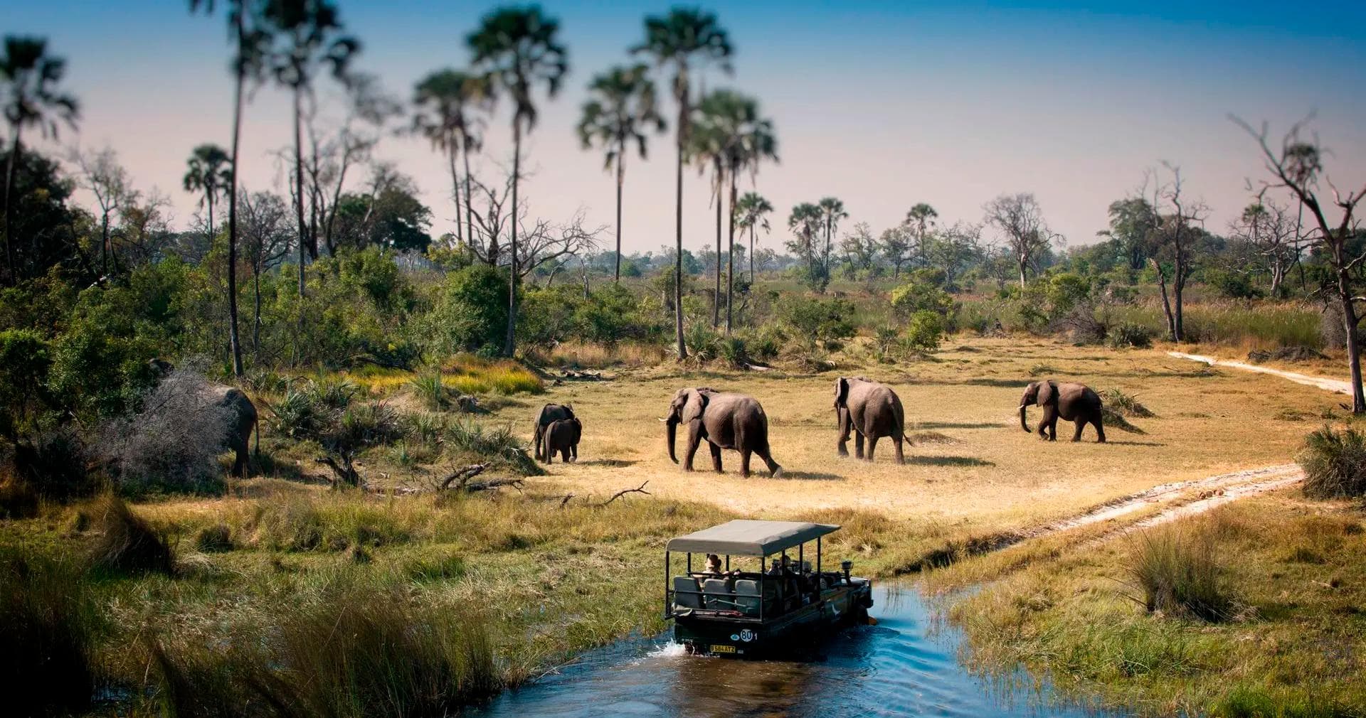 CHOBE NATIONAL PARK · RIVER AND LAND SAFARI