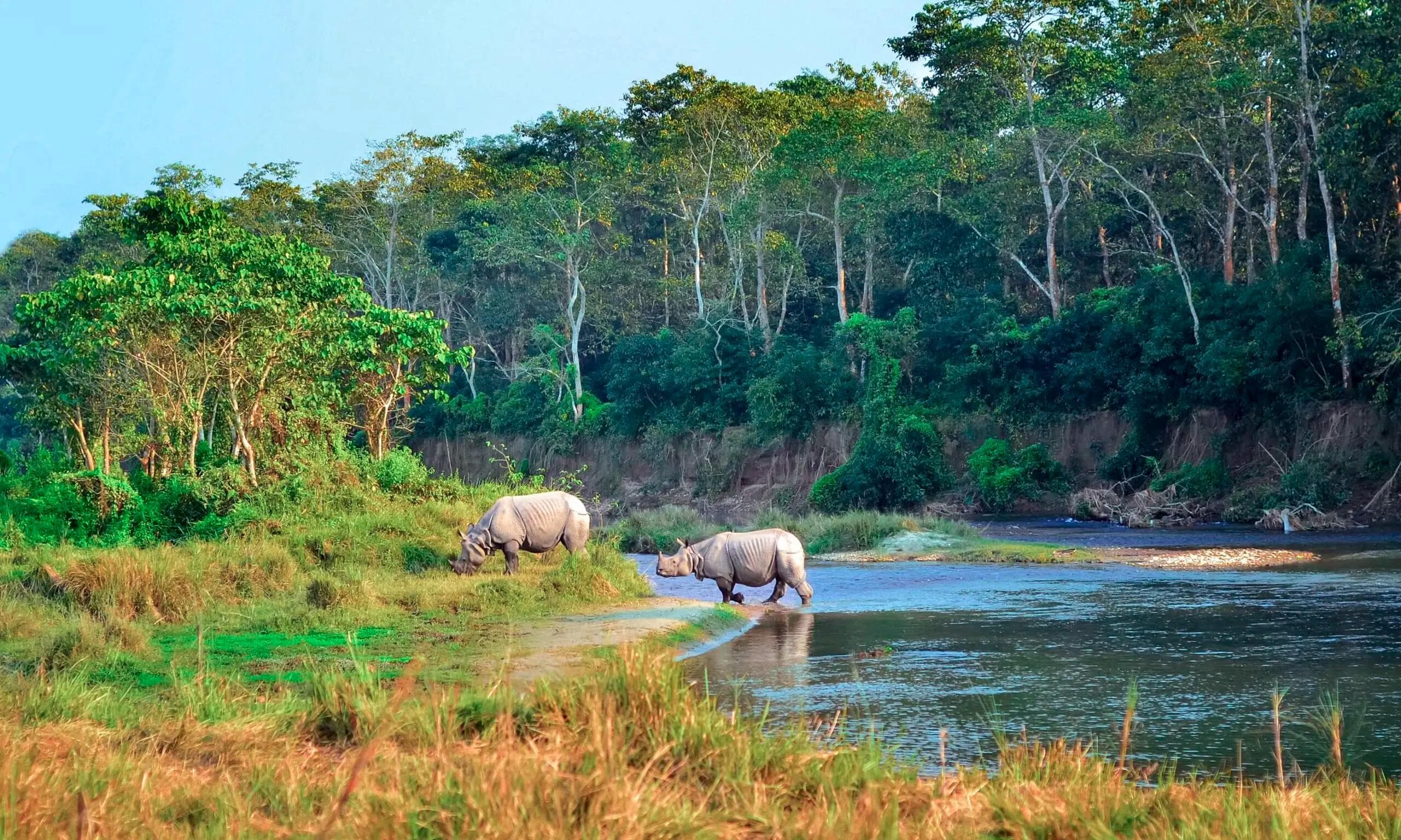 CHITWAN NATIONAL PARK | WILDLIFE AND RIVERWAYS