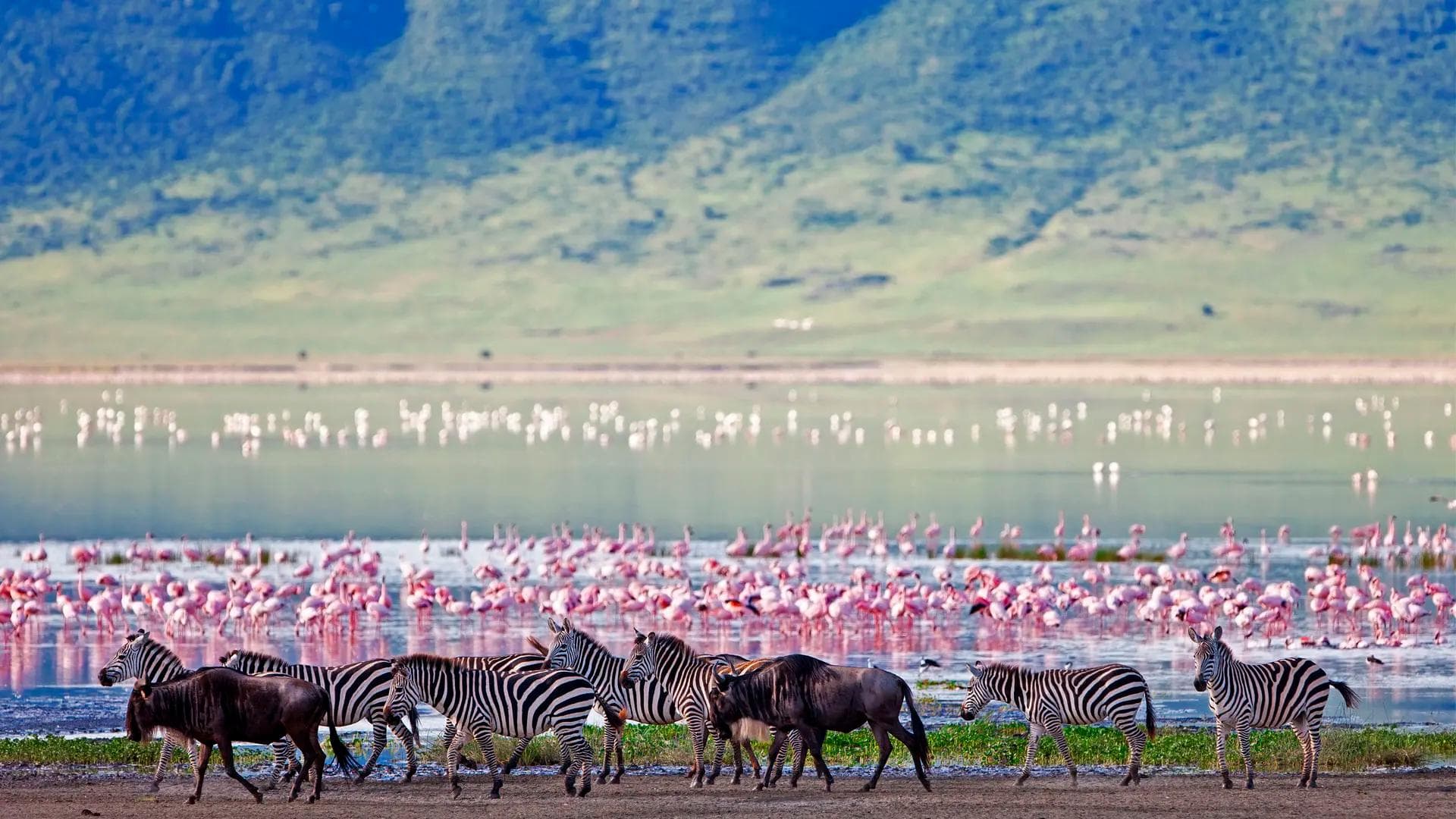 NGORONGORO CRATER | DESCENT INTO THE CALDERA