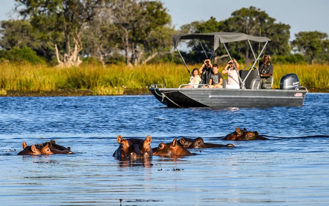OKAVANGO DELTA · SAFARI DRIVES AND BUSH WALK