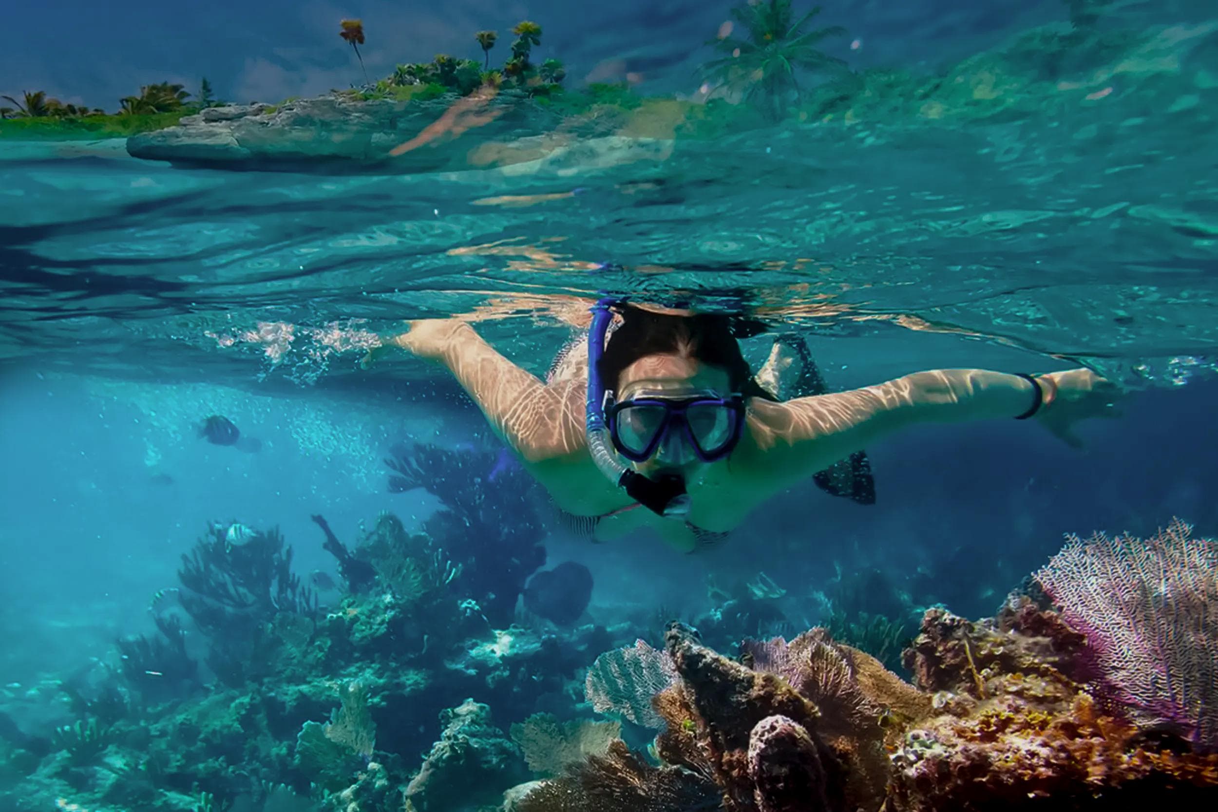 CORAL REEF AND MARINE LIFE