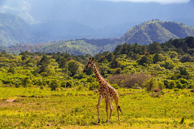 9 Days Highlight of Tanzania - Popular Destinations in Tanzania