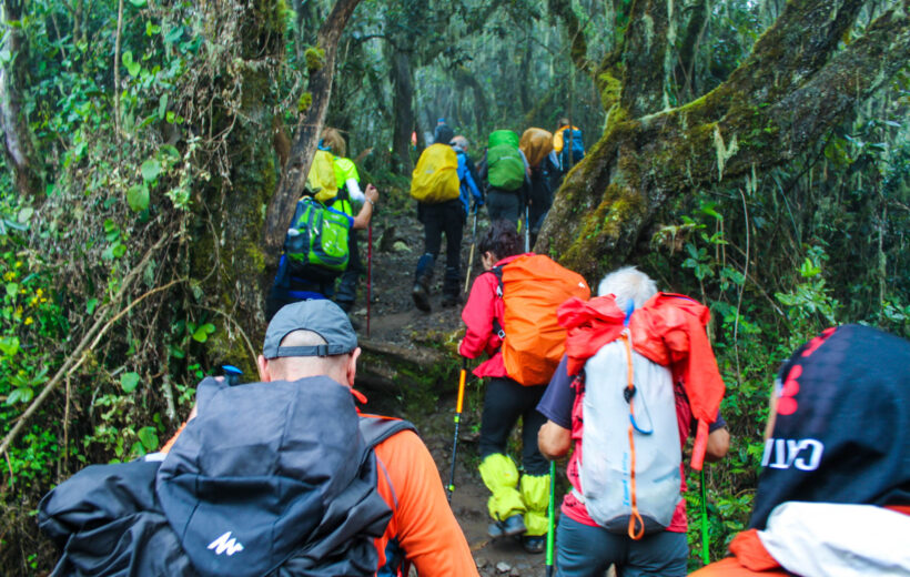 Kilimanjaro 7 Days Lemosho Route