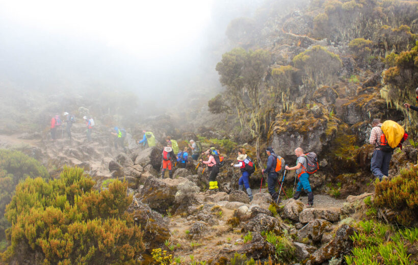 Kilimanjaro 7 Days Rongai Route
