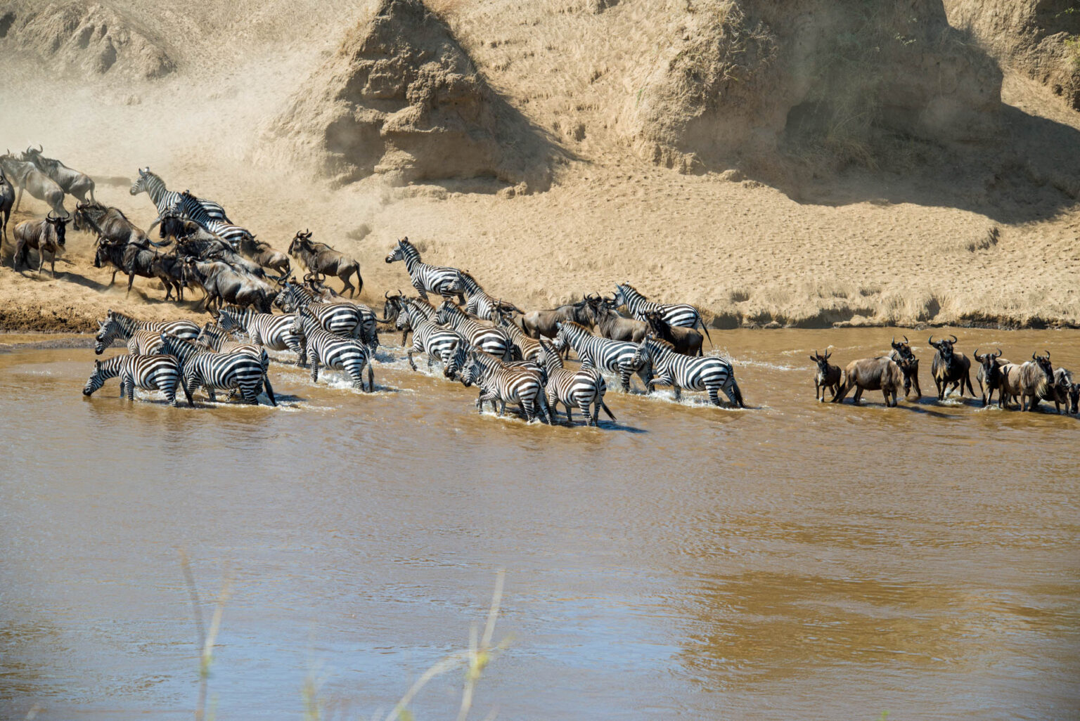 serengeti migration tours from south africa