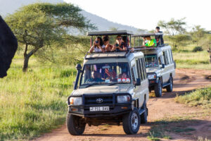 10 Days Ndutu Migration Safari