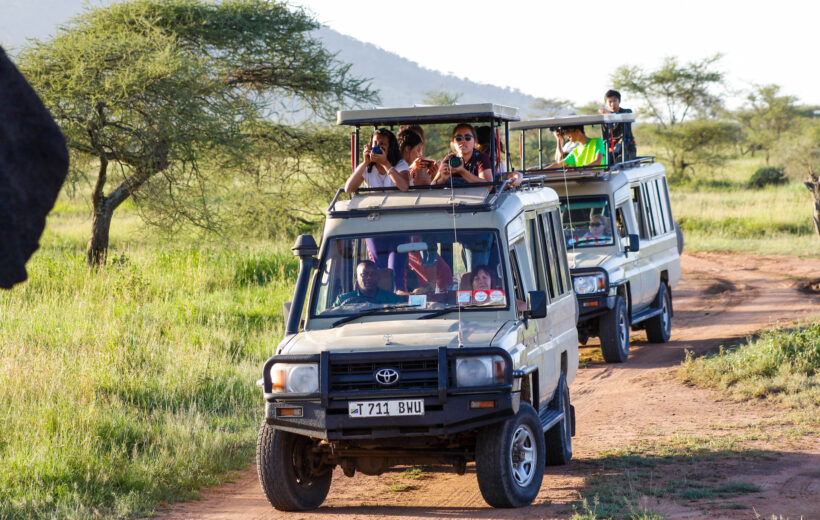 10 Days Ndutu Migration Safari