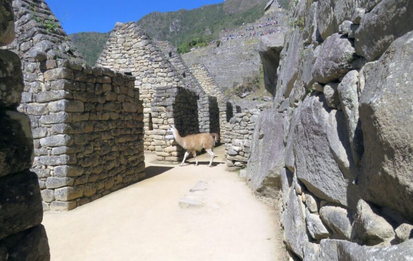 Choquequirao Trek to Machu Picchu 7 Days – 10 Days Tour