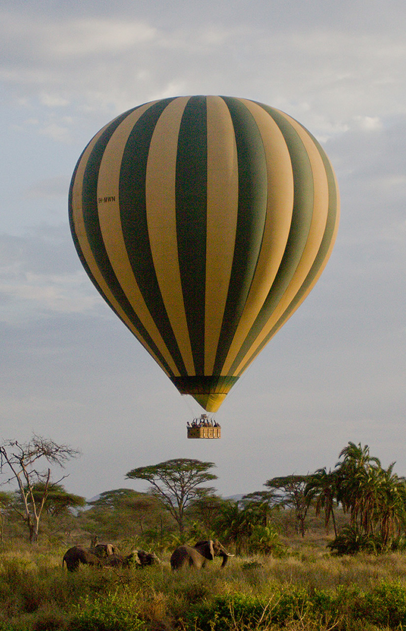 Serengeti Balloon Safari