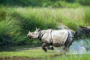 Nepal wellness tour - 12 Days